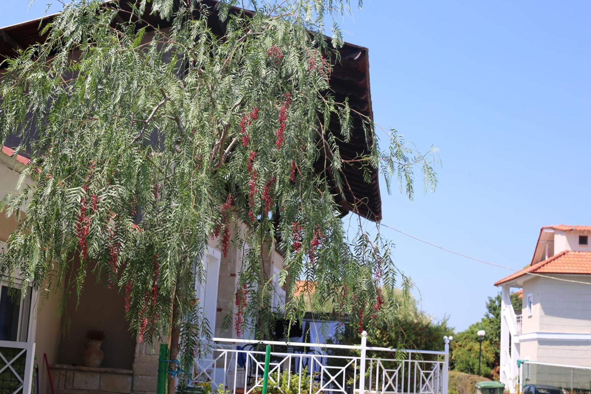 Golden Residence Family Resort Пефкохори Екстериор снимка